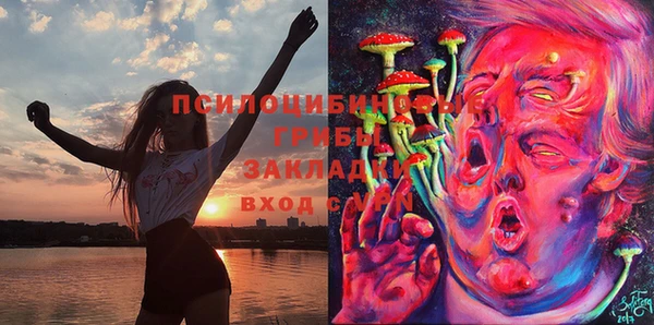 jwh Верхний Тагил