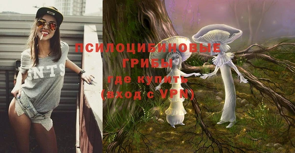 spice Верея