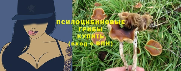 spice Верея