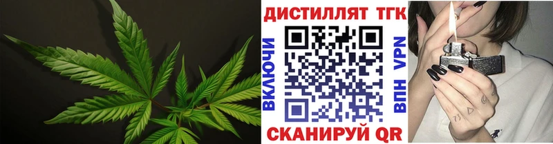 ТГК вейп с тгк МЕГА ССЫЛКА Луга